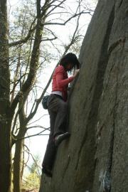 PAD�n� 2009