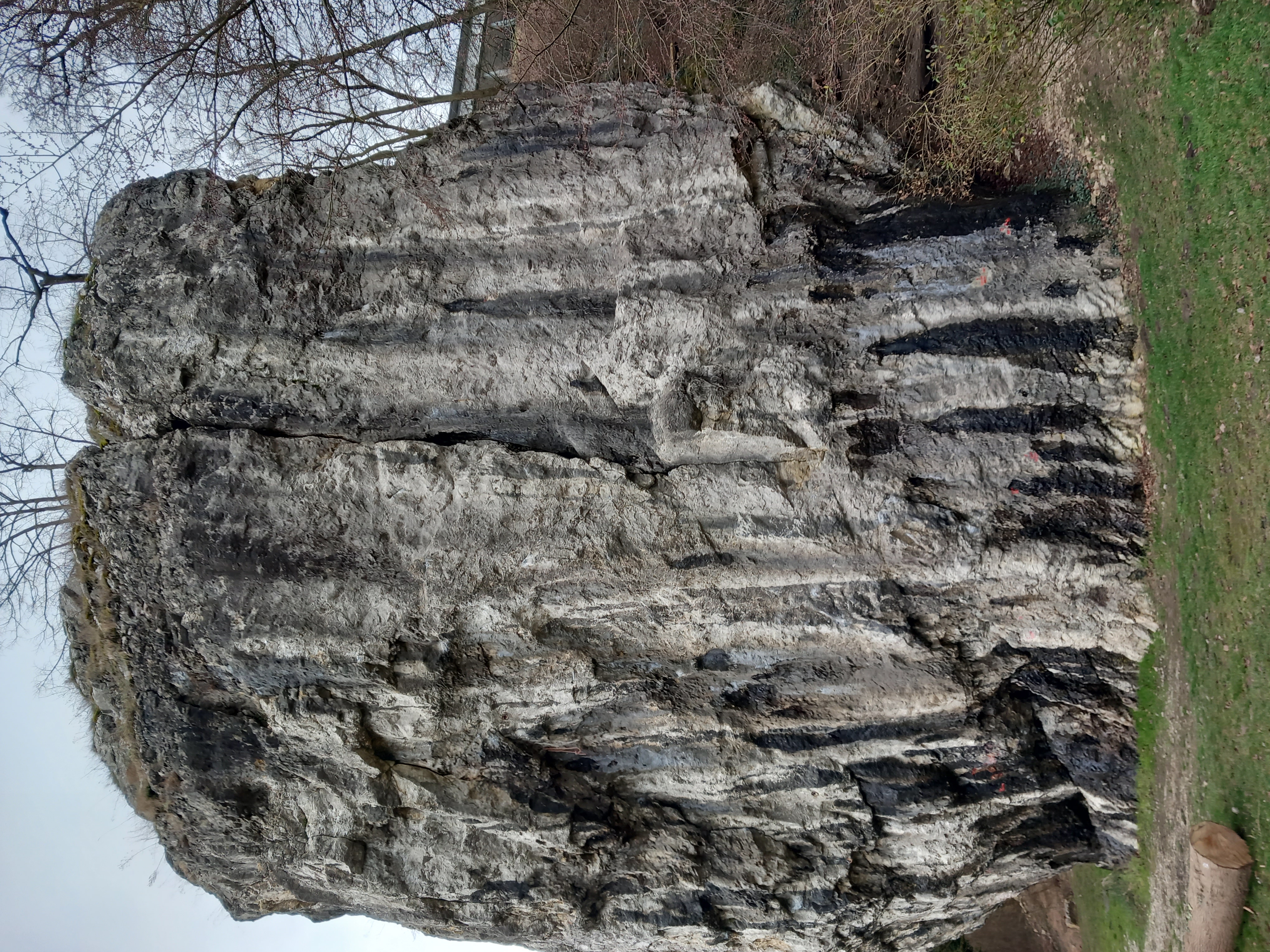 Topo image