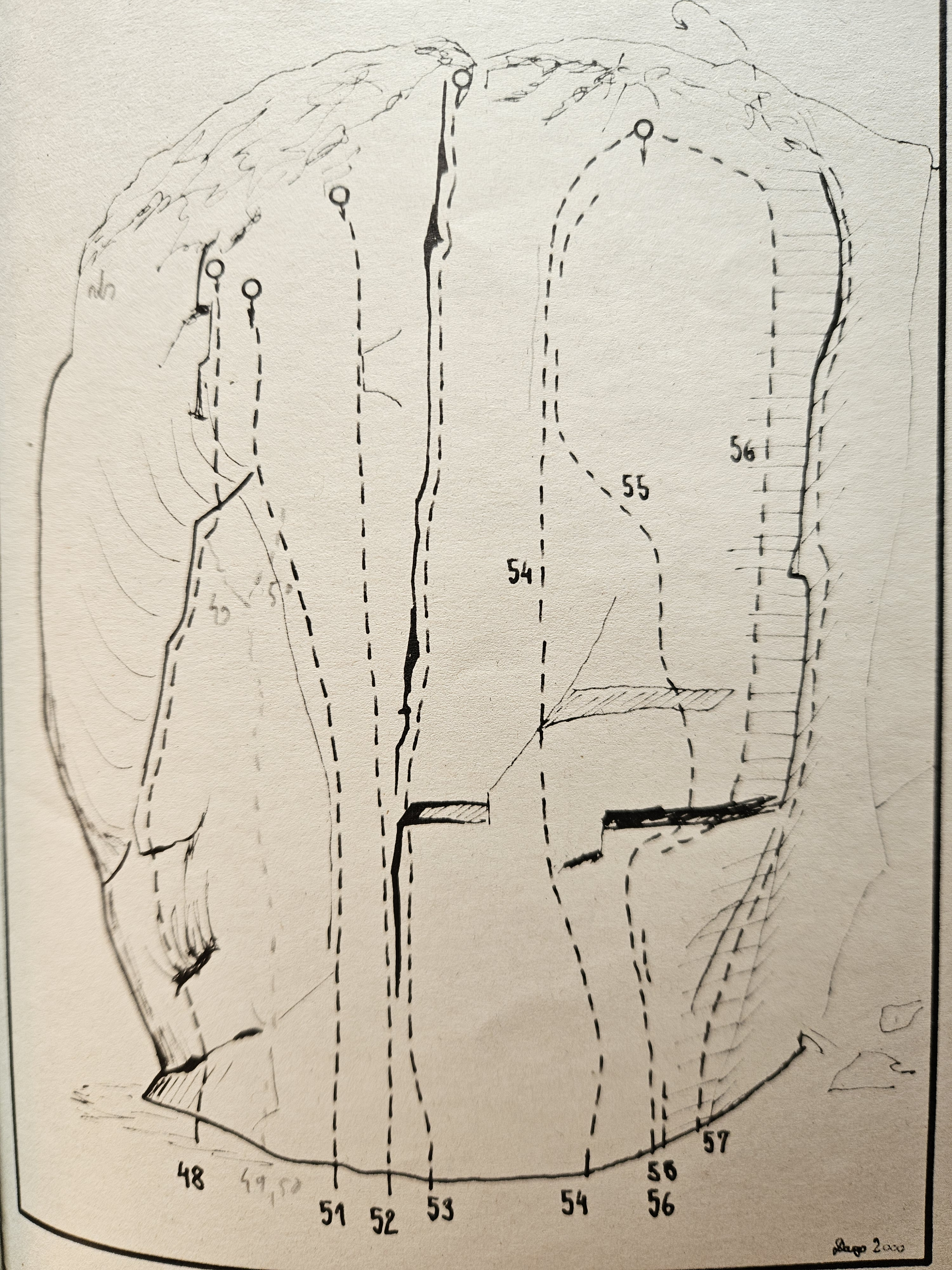 Topo image