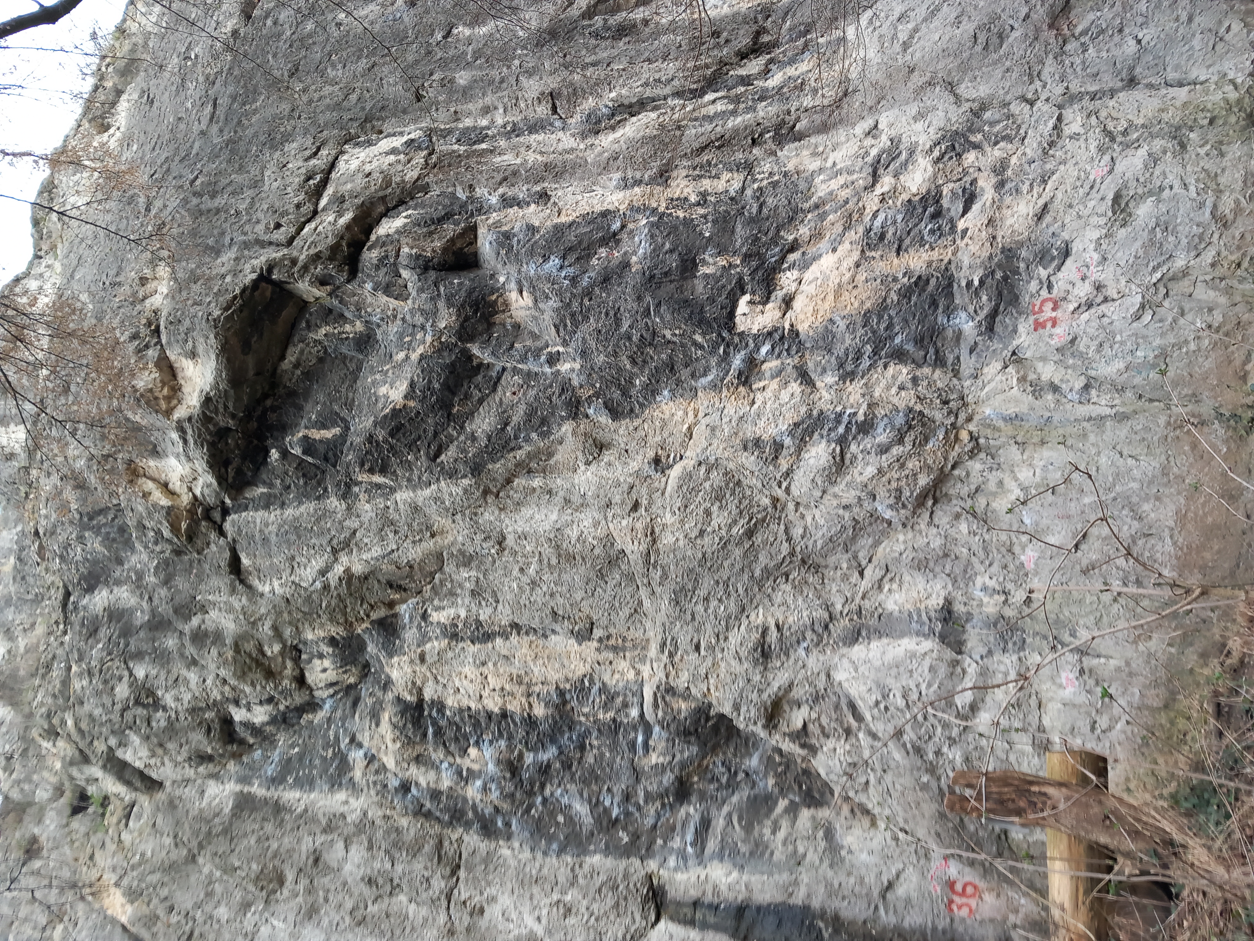 Topo image