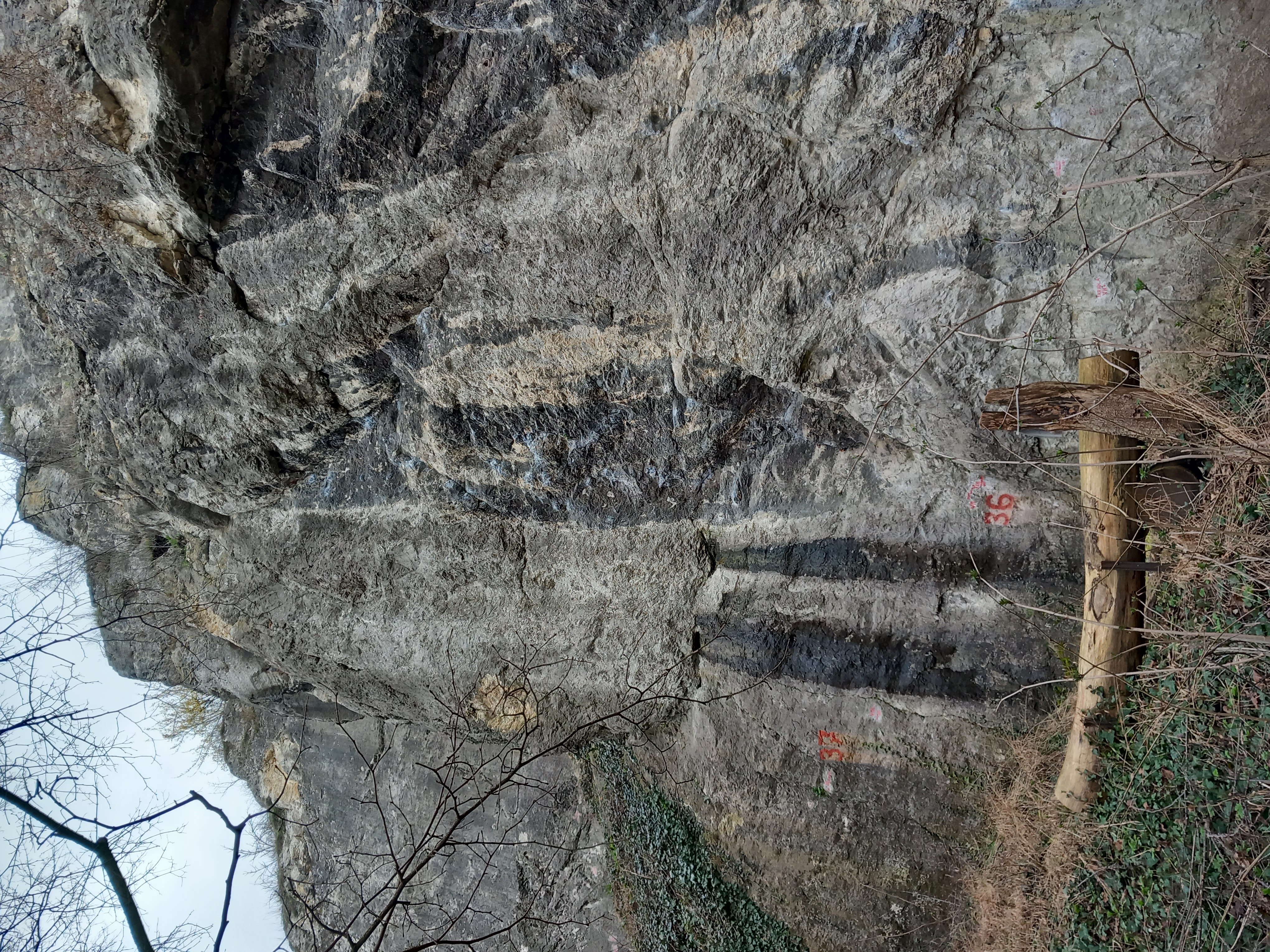 Topo image