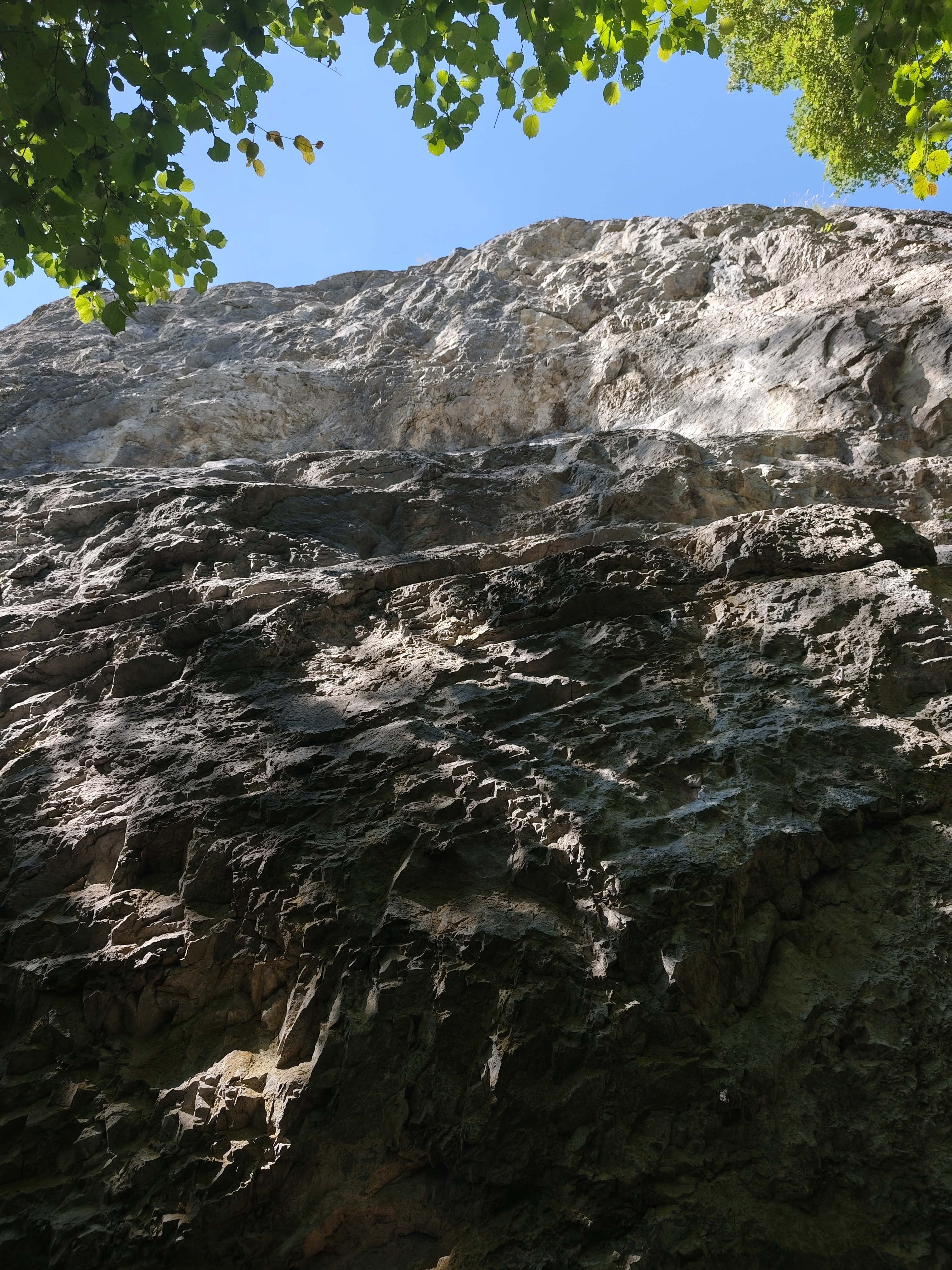 Topo image