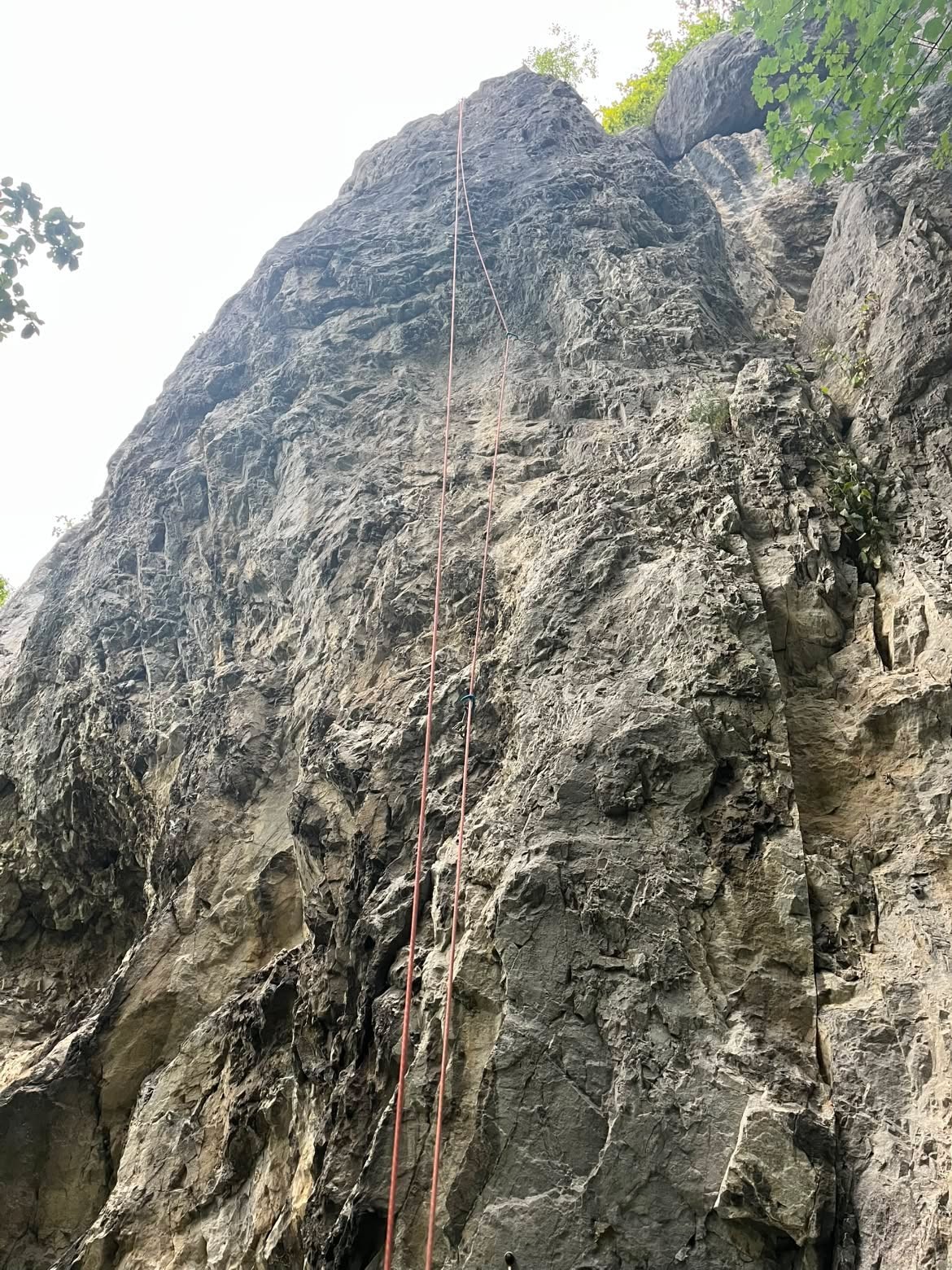 Topo image