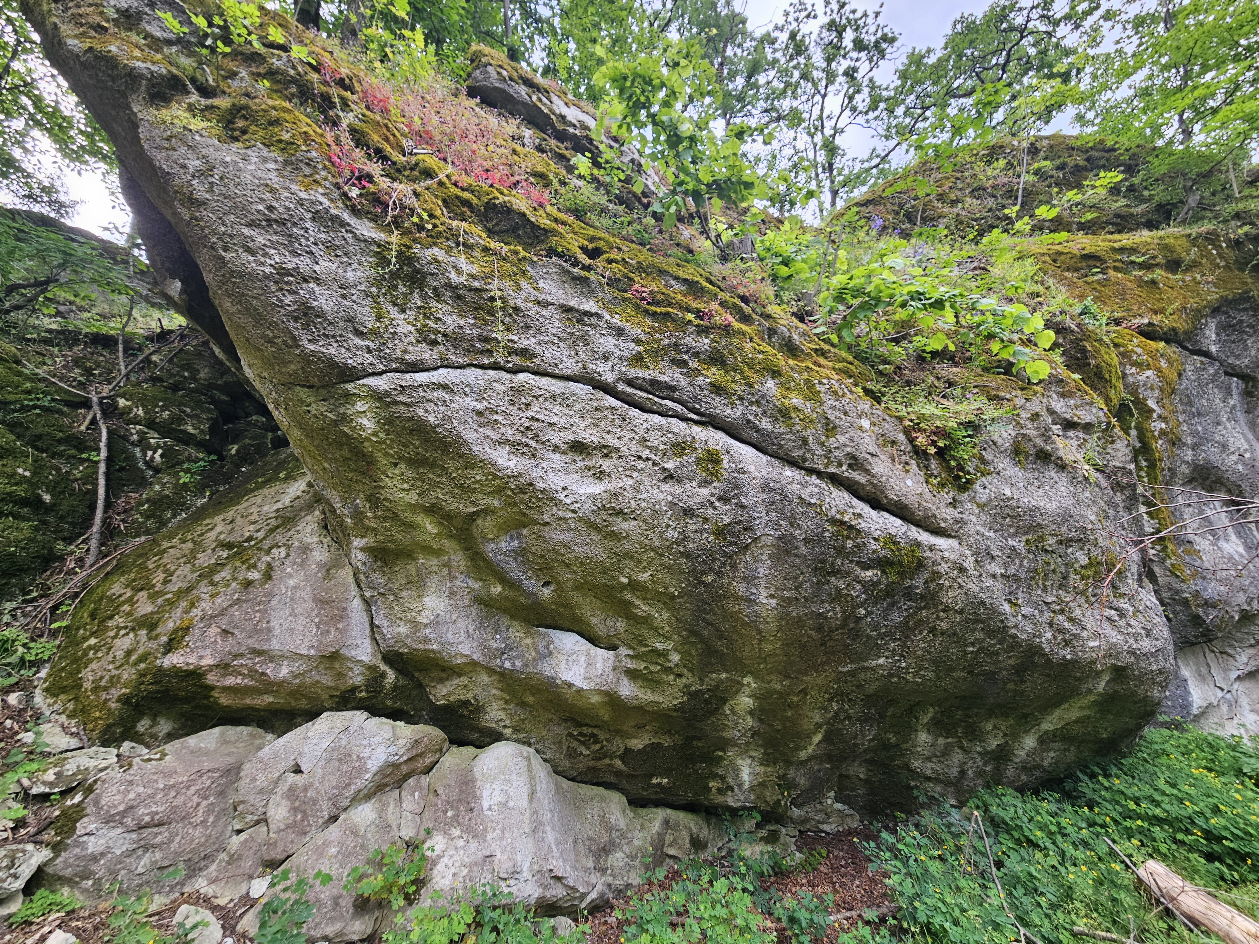 Topo image