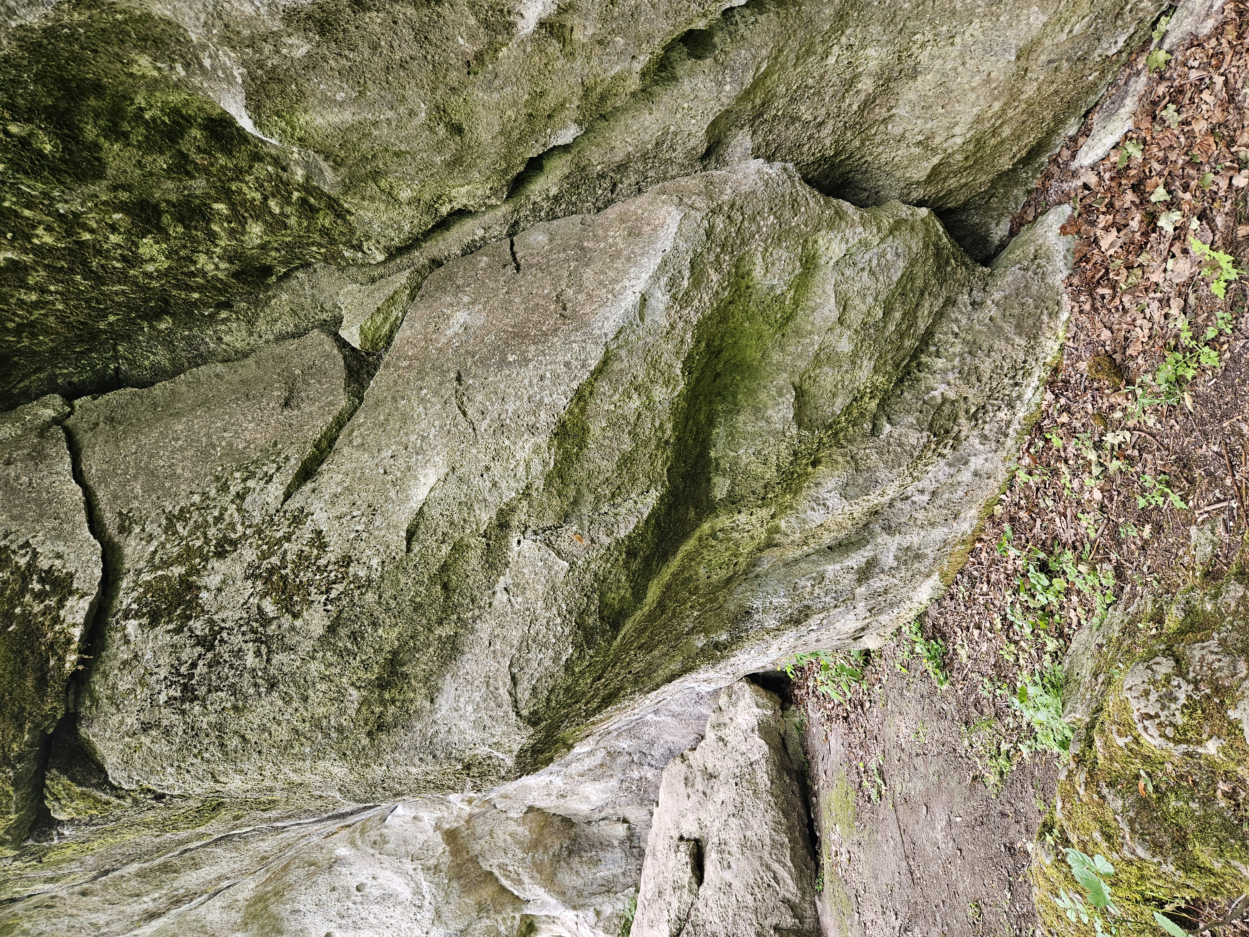 Topo image