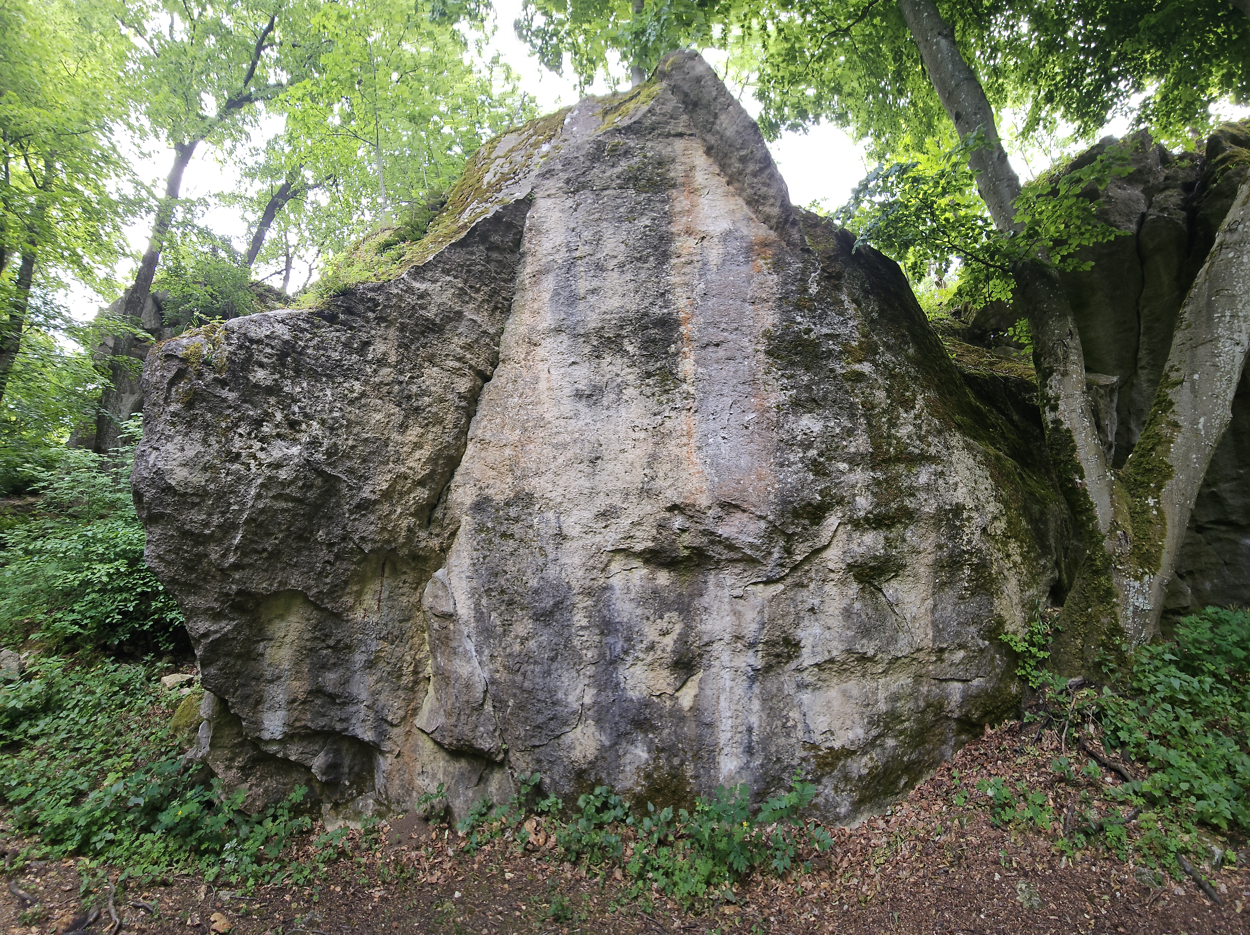 Topo image