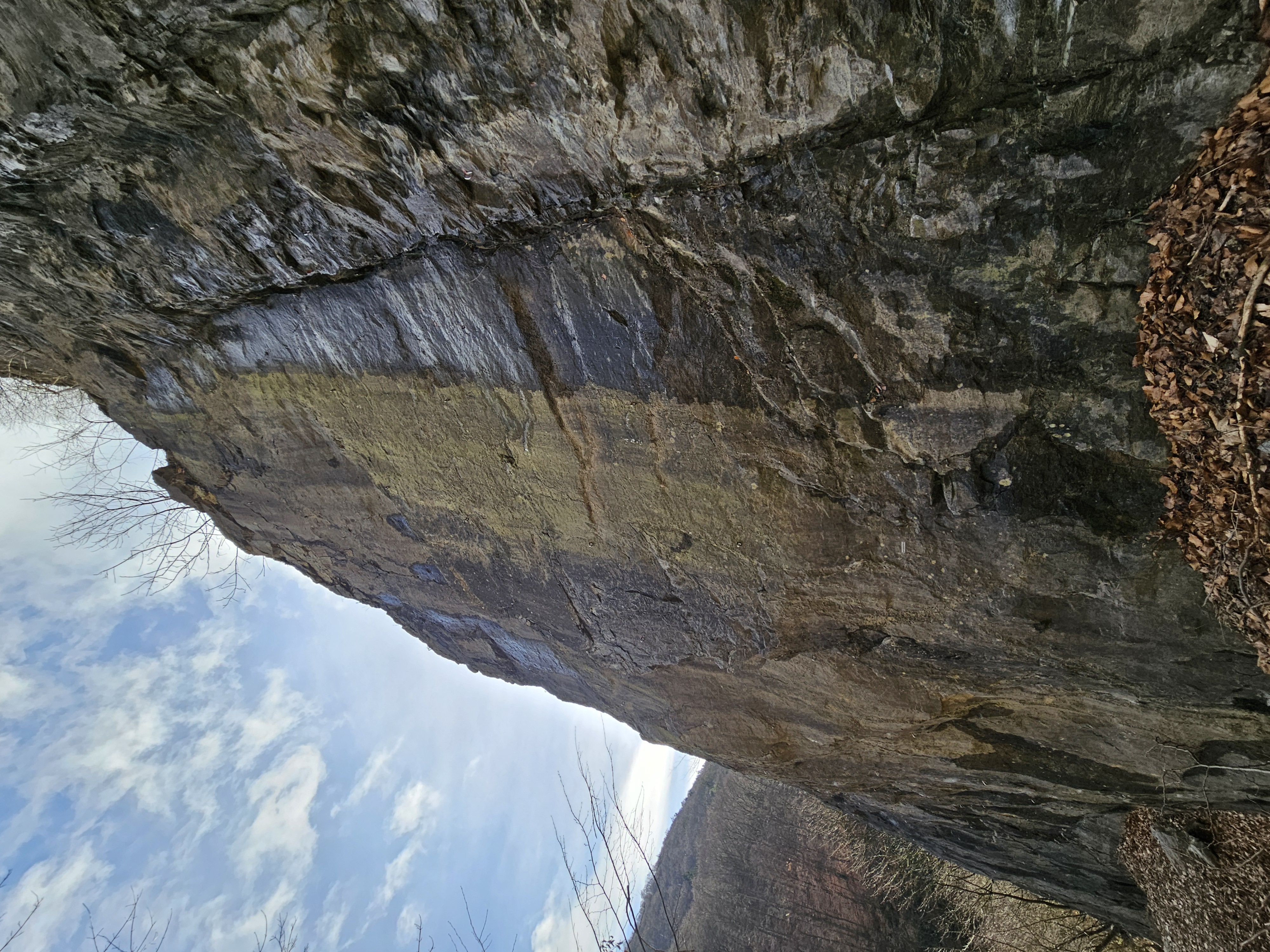 Topo image