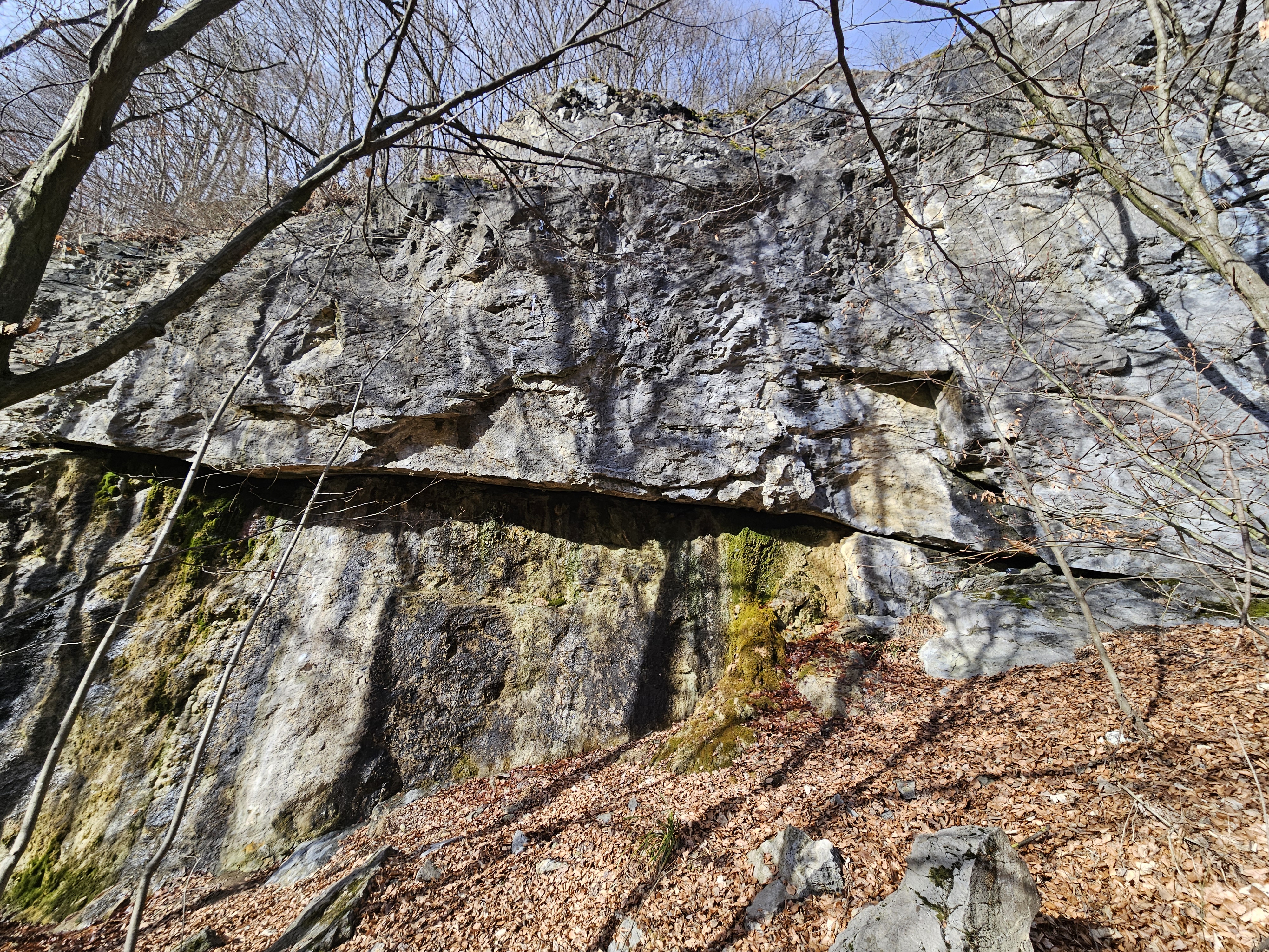 Topo image