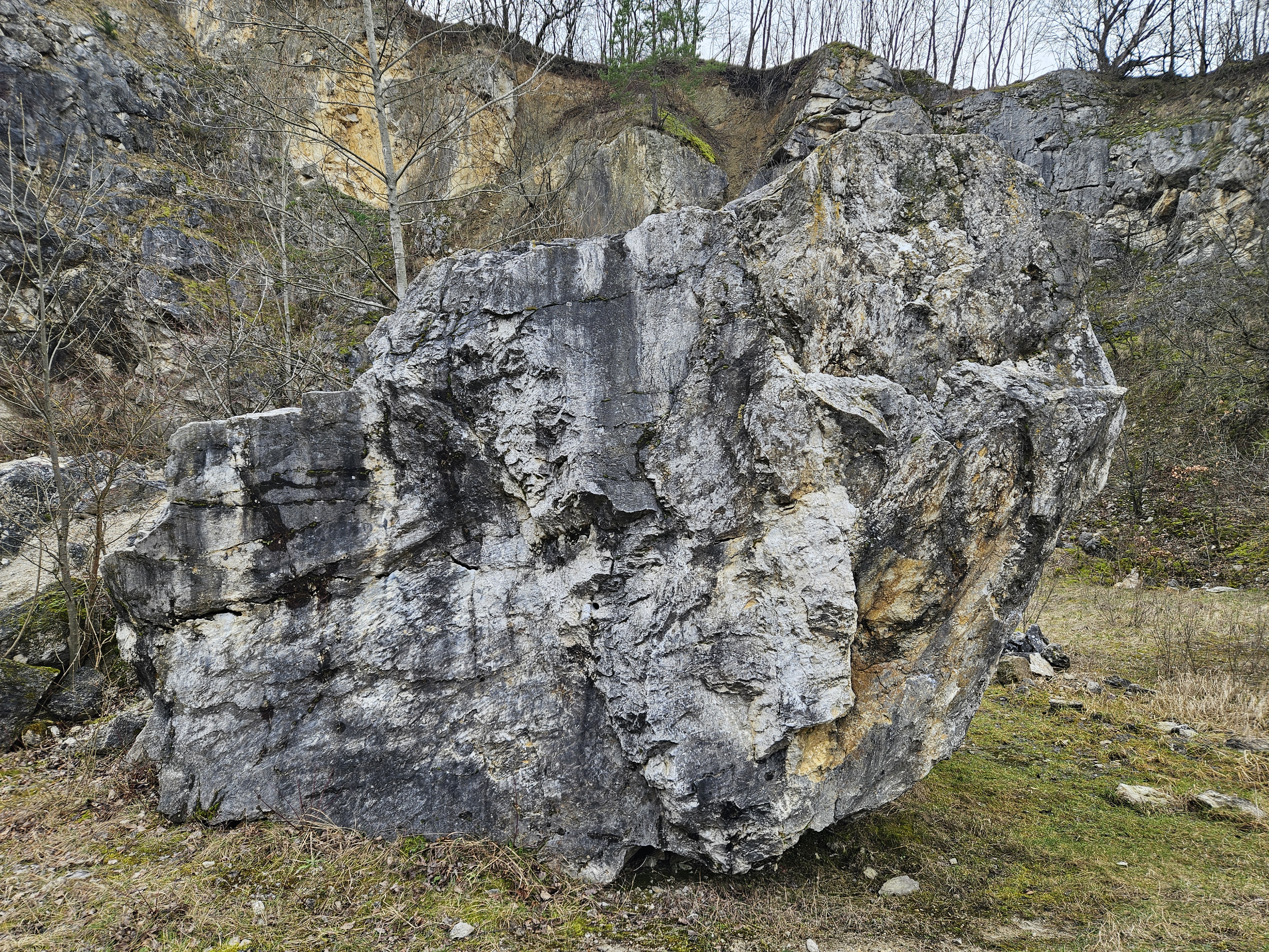 Topo image