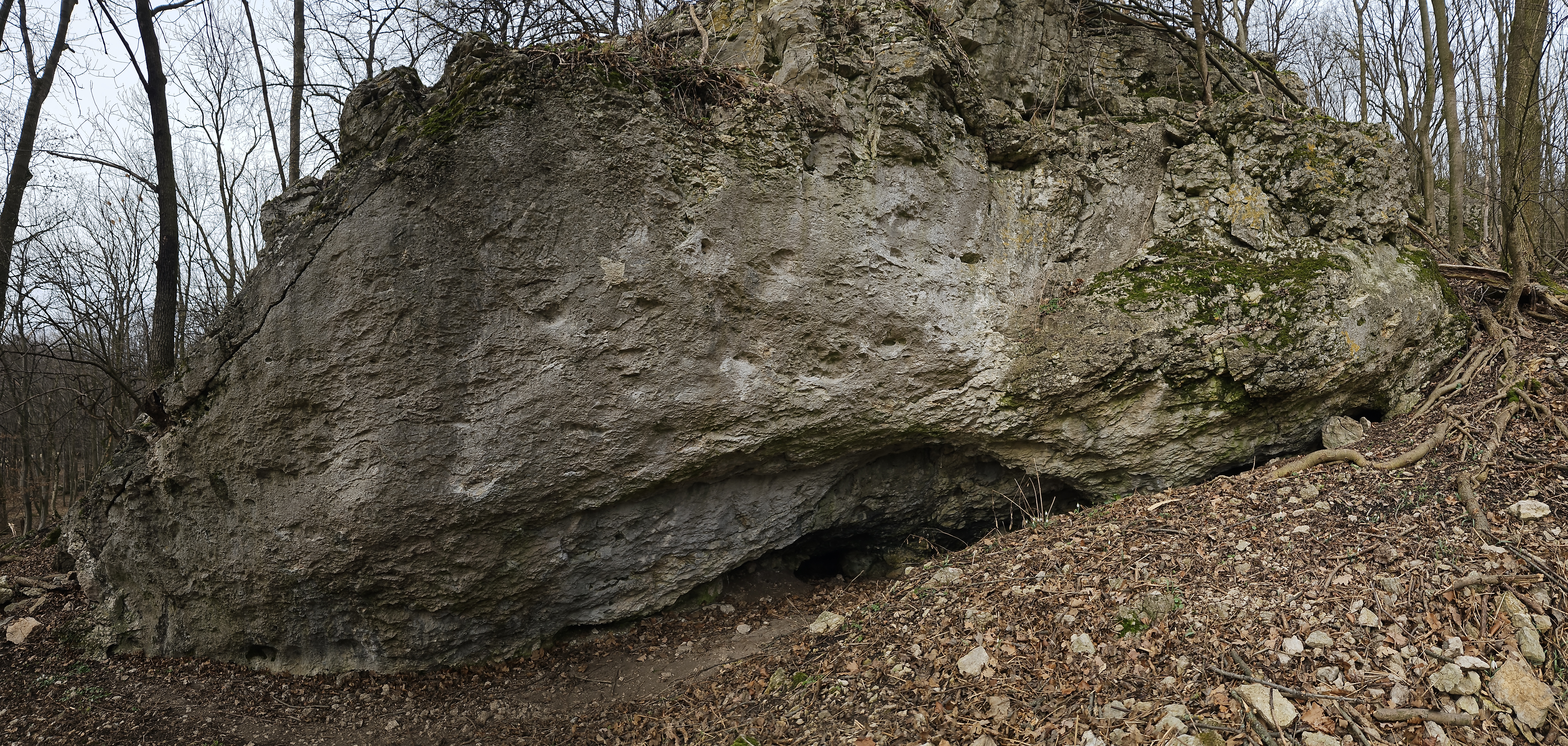 Topo image